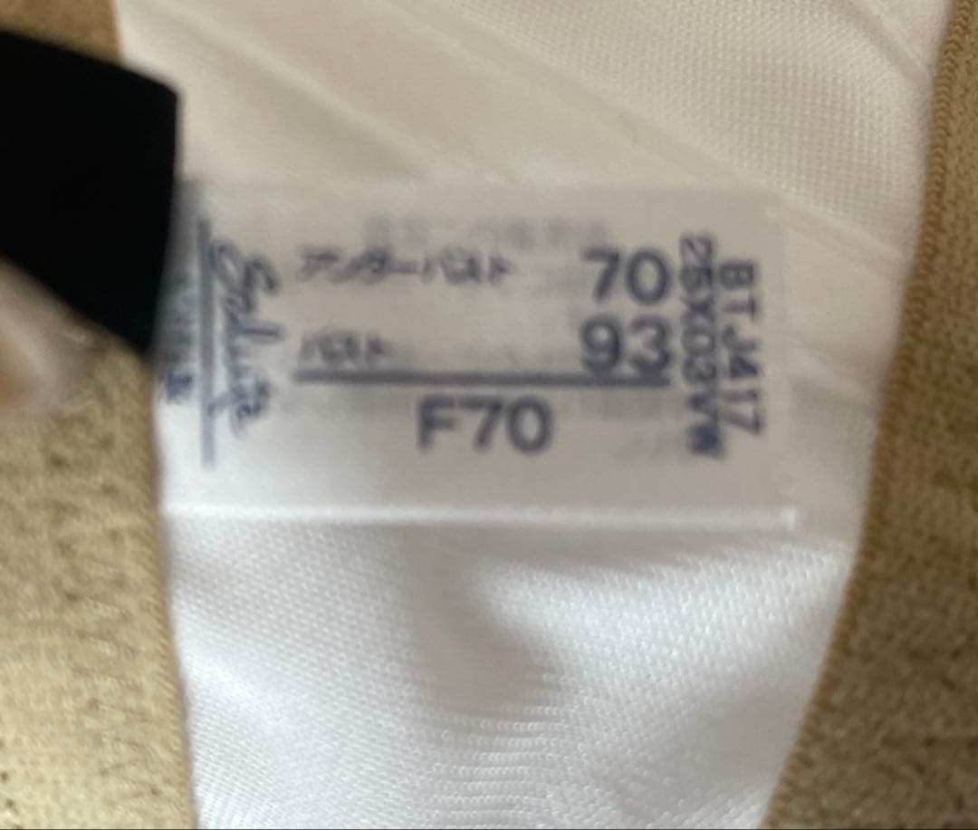 【サルート】ワコール　salut ブラ　F70